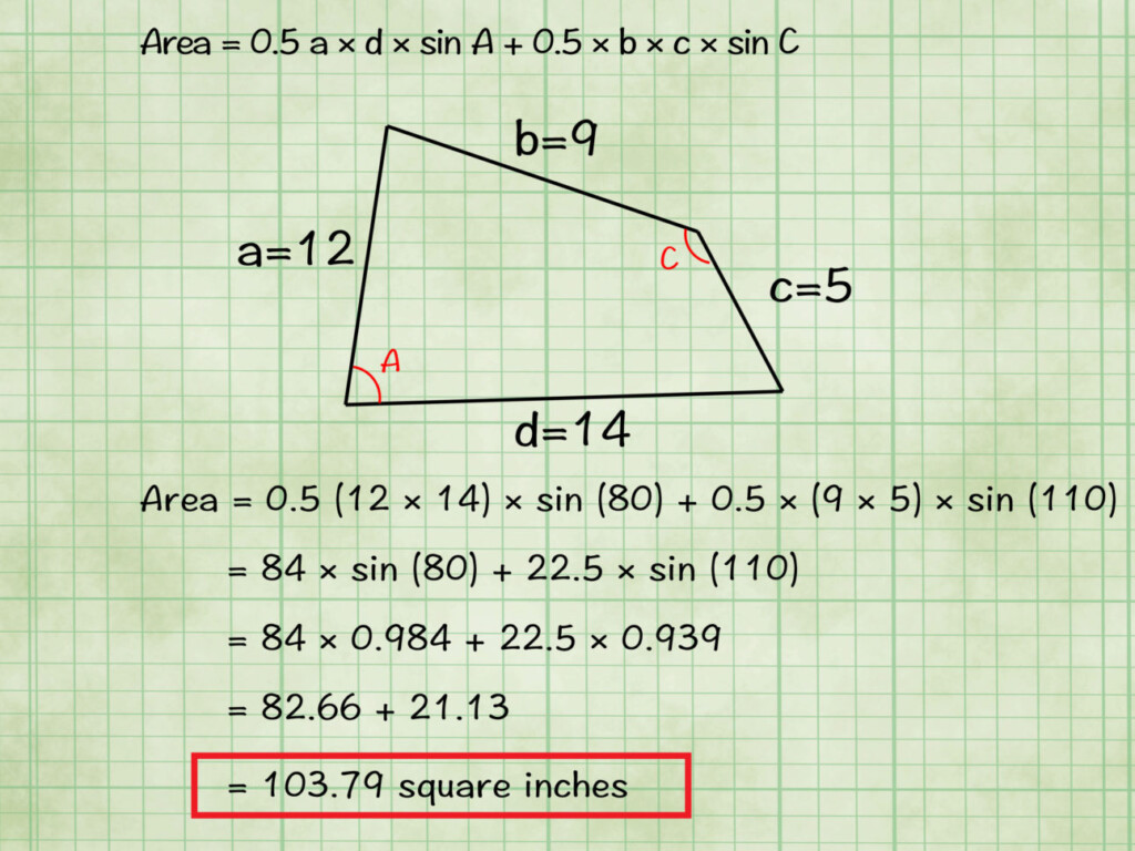 Area Of Quadrilaterals Worksheet Db excel