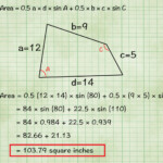 Area Of Quadrilaterals Worksheet Db excel