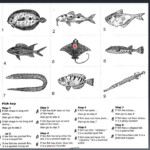 Dichotomous Keys USE YouTube