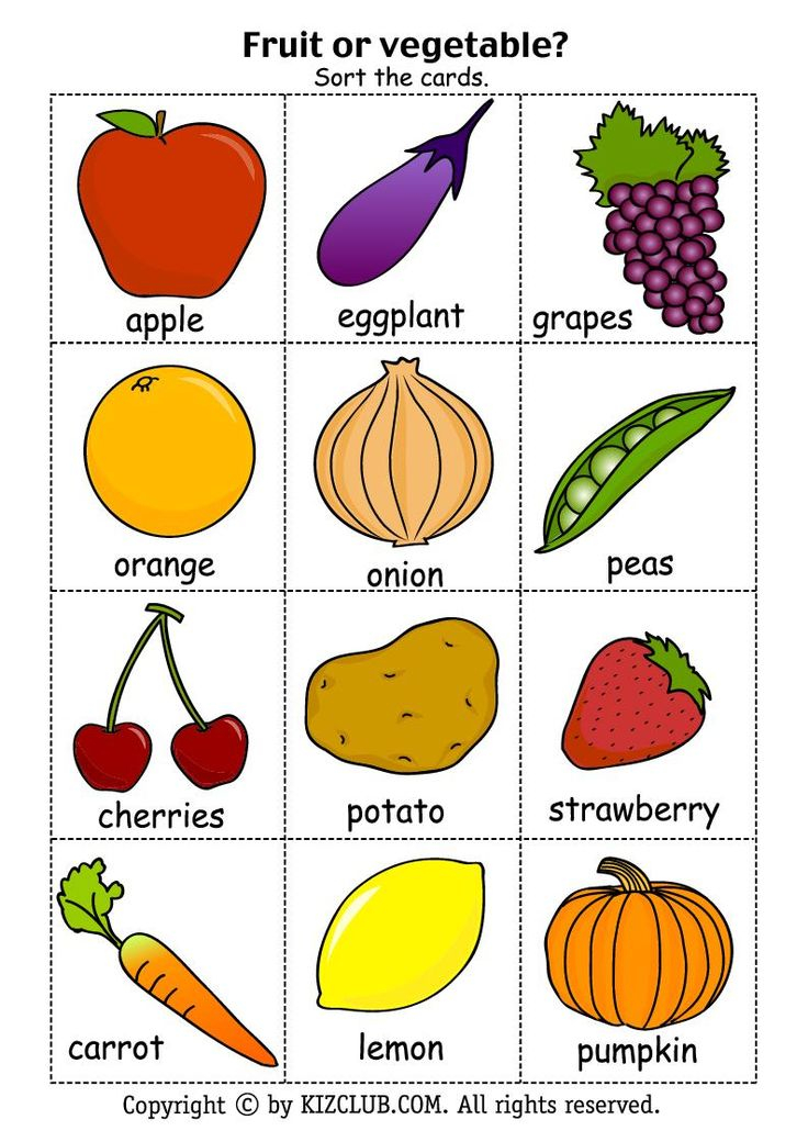 Free Printable Fruits and Vegetables Fruits And Vegetables Pictures
