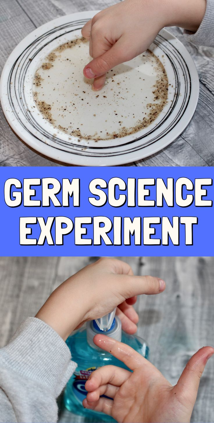 Germ Science Experiment Handwashing Activity In 2022 Science