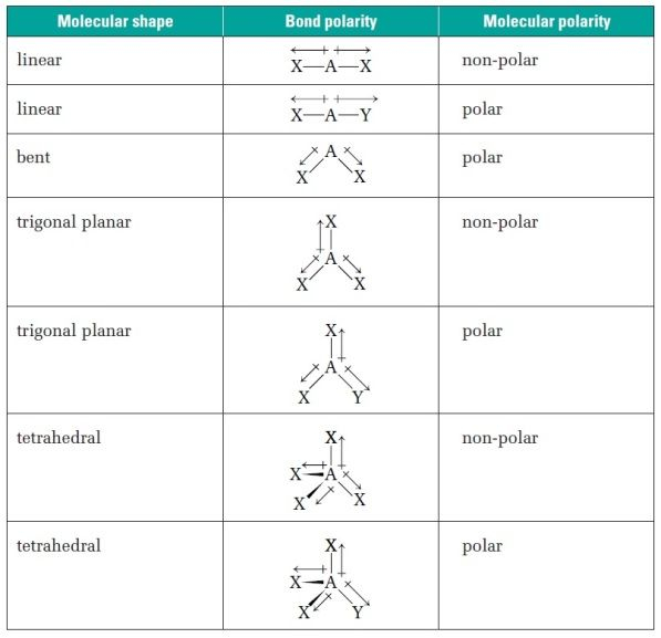 Molecular Shape And Polarity Worksheet Answers - ShapesWorksheets.com