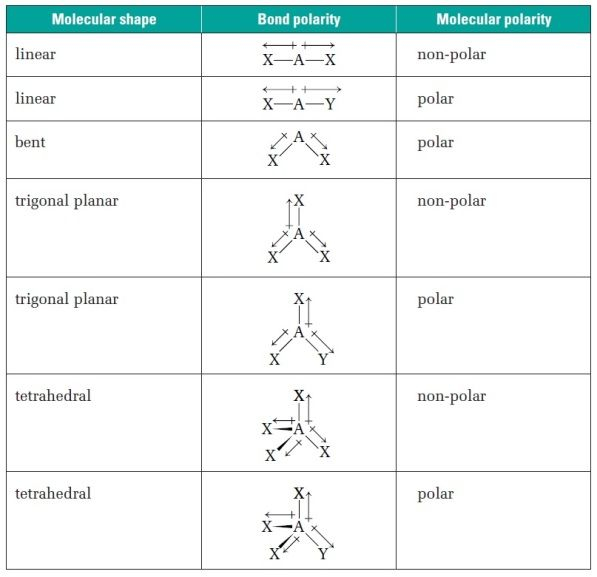 Molecular Shape And Polarity Worksheet Answers ShapesWorksheets