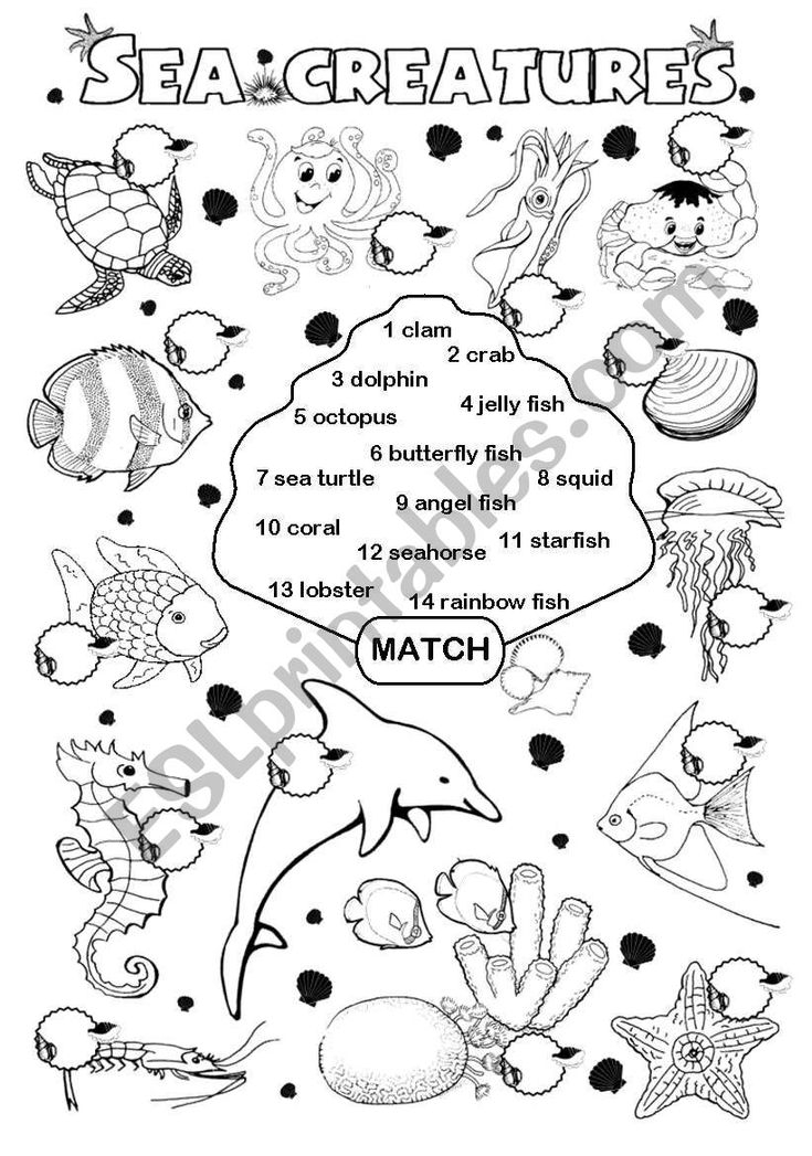 Sea Creatures Worksheet In 2020 Rainbow Fish Rainbow Fish Story Sea 