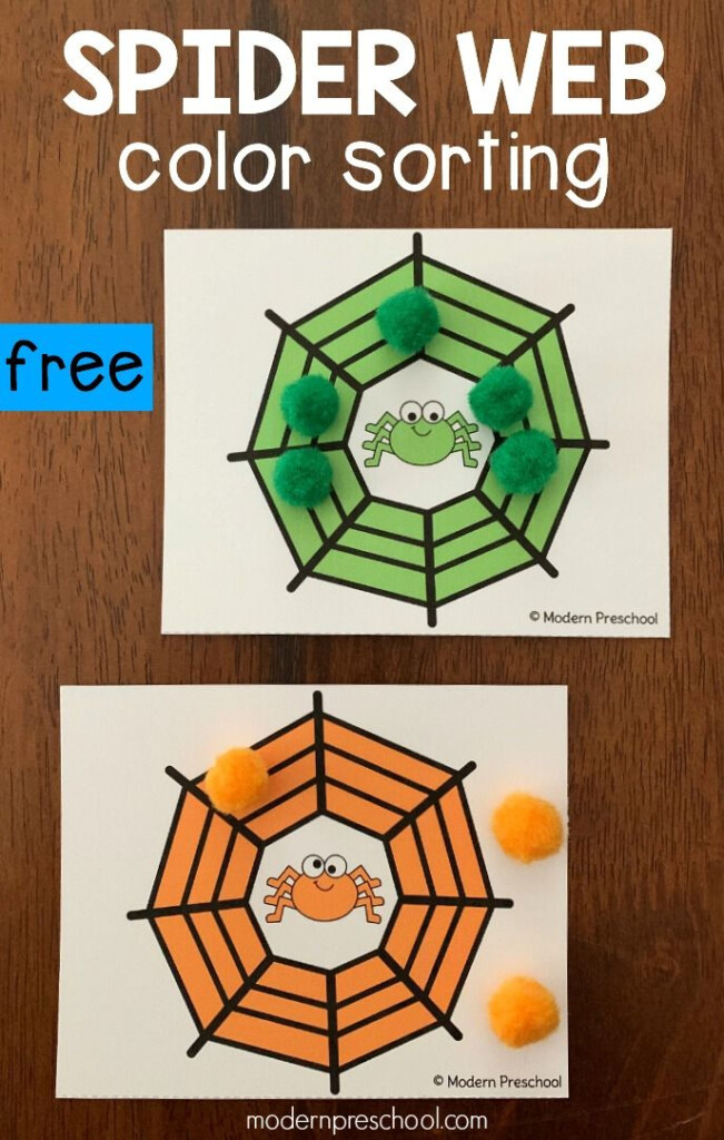 Spider Web Color Sorting Cards Spider Theme Preschool Halloween 
