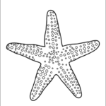 Starfish Free Printable Templates Coloring Pages FirstPalette