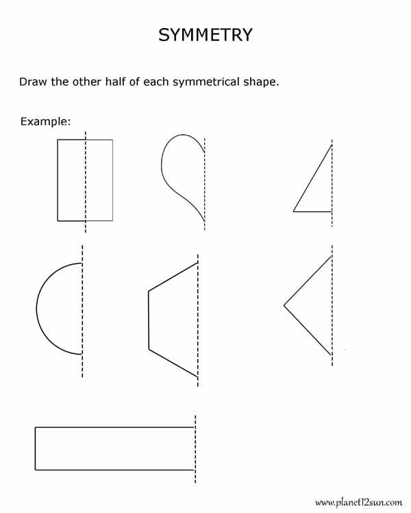 Symmetry Quiz Worksheets 99Worksheets