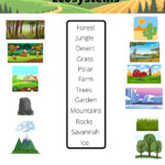 Terrestrial Ecosystem Vocabulary Interactive Worksheet