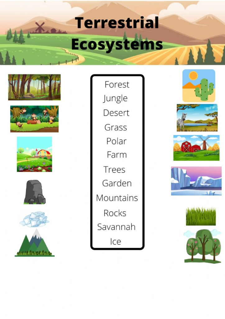 Terrestrial Ecosystem Vocabulary Interactive Worksheet