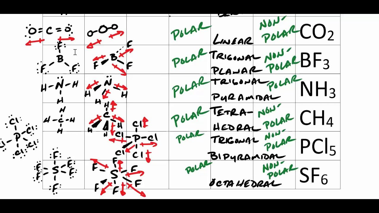 VSEPR Theory And Molecular Geometry Lab YouTube