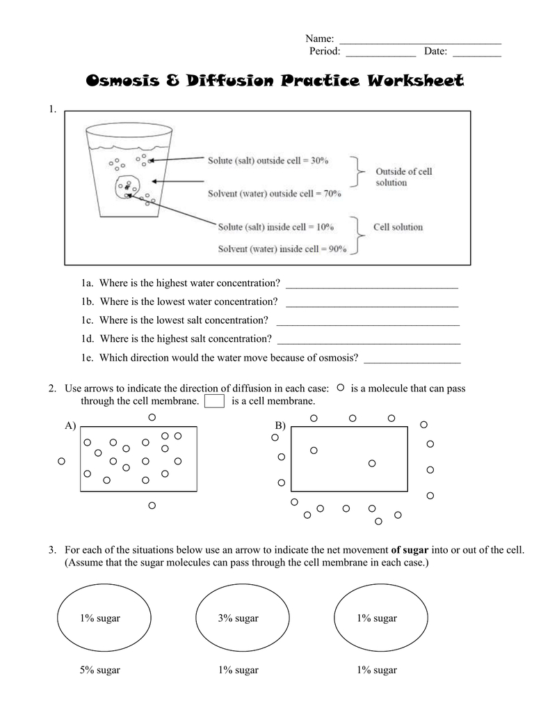 Diffusion And Osmosis Beaker Worksheet Answers Tv Com Zac Sheet