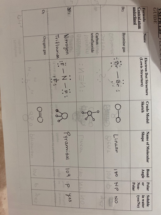 Solved VSEPR Lab GUIDE Name Crude Model Sketch Electron Dot Chegg